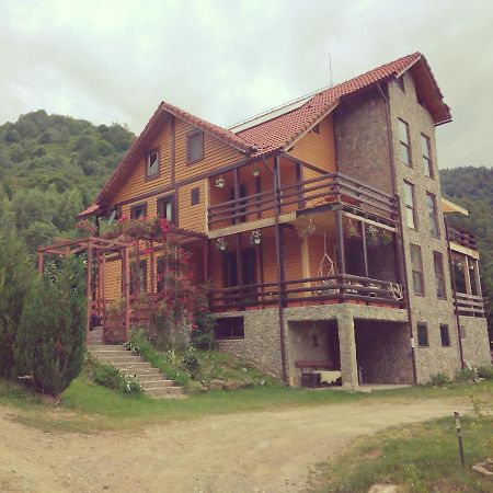 Cabana Soarelui Retezat Nucsoara  Exteriér fotografie