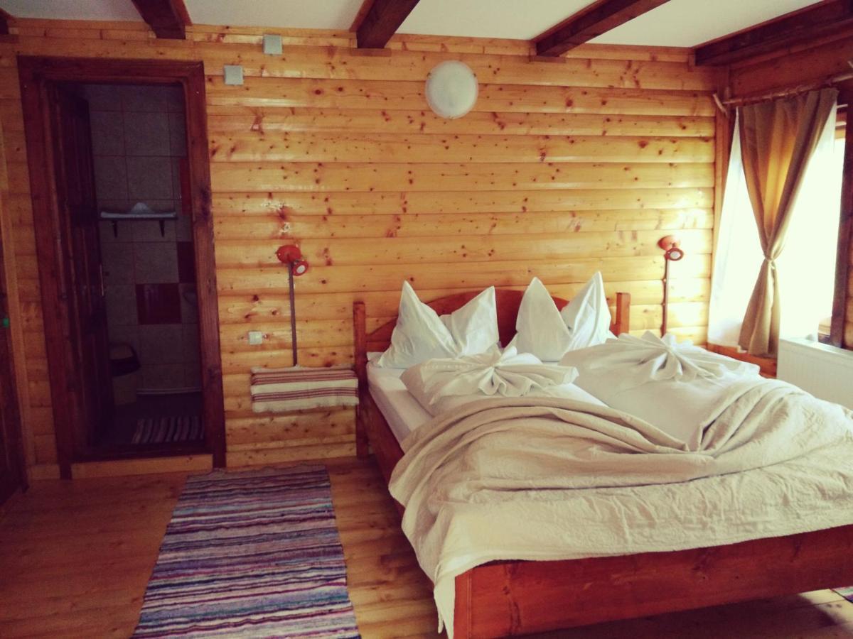 Cabana Soarelui Retezat Nucsoara  Exteriér fotografie