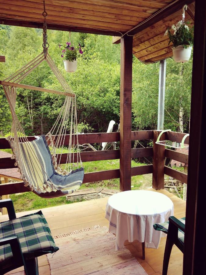 Cabana Soarelui Retezat Nucsoara  Exteriér fotografie