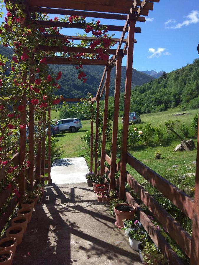 Cabana Soarelui Retezat Nucsoara  Exteriér fotografie