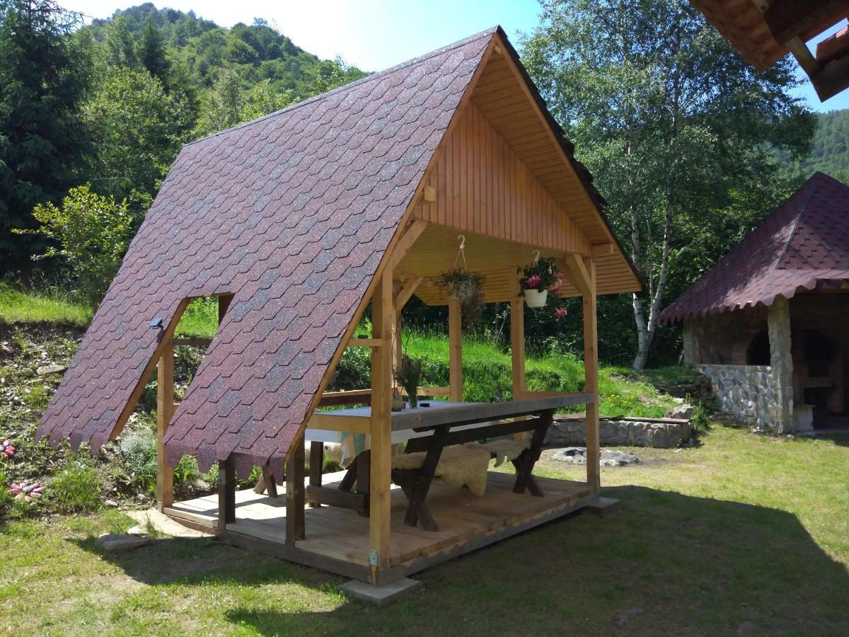 Cabana Soarelui Retezat Nucsoara  Exteriér fotografie