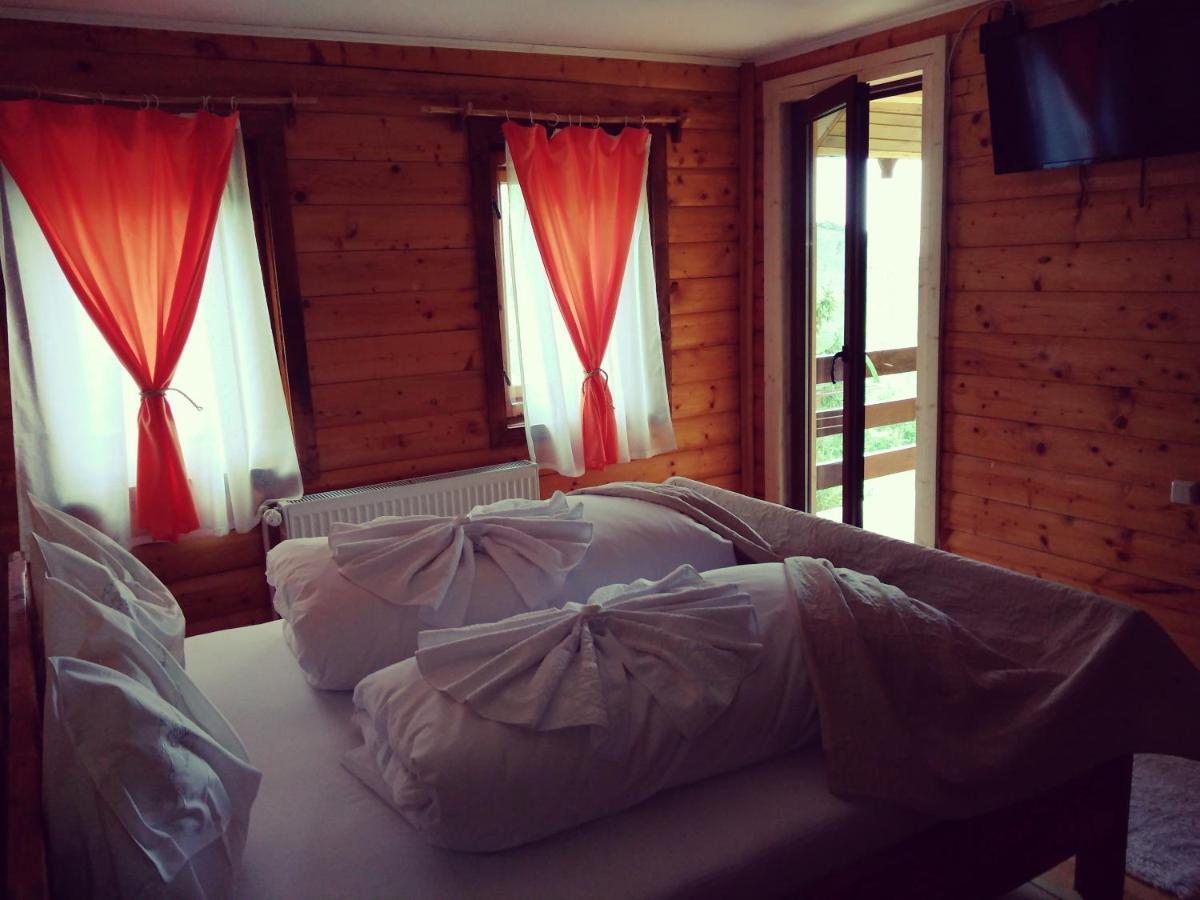 Cabana Soarelui Retezat Nucsoara  Exteriér fotografie