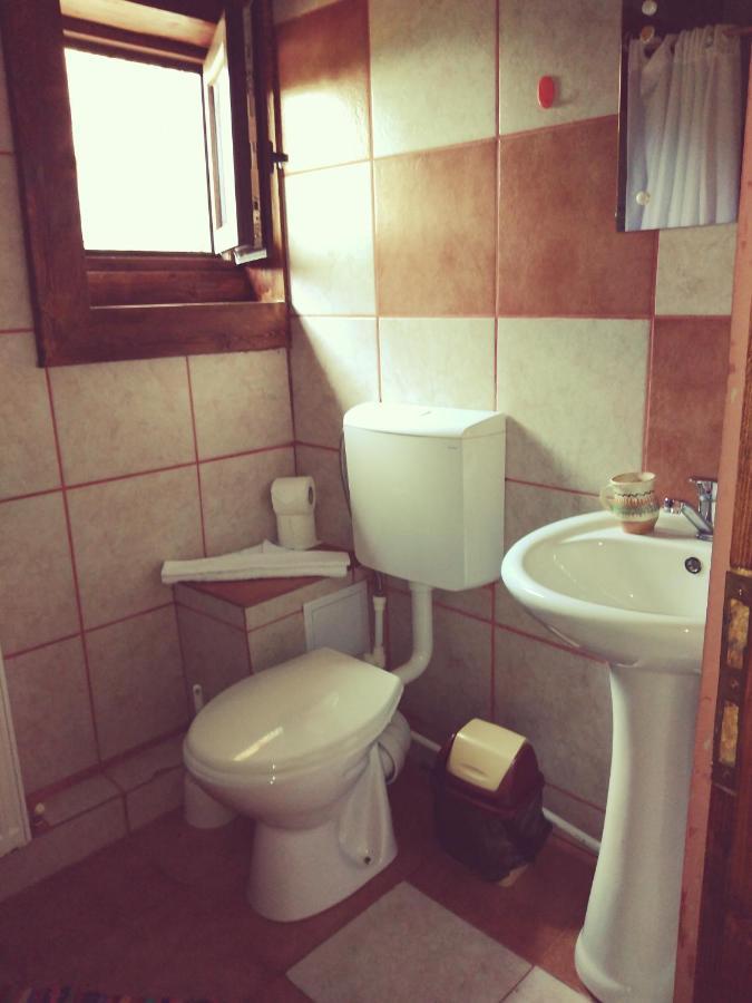 Cabana Soarelui Retezat Nucsoara  Exteriér fotografie