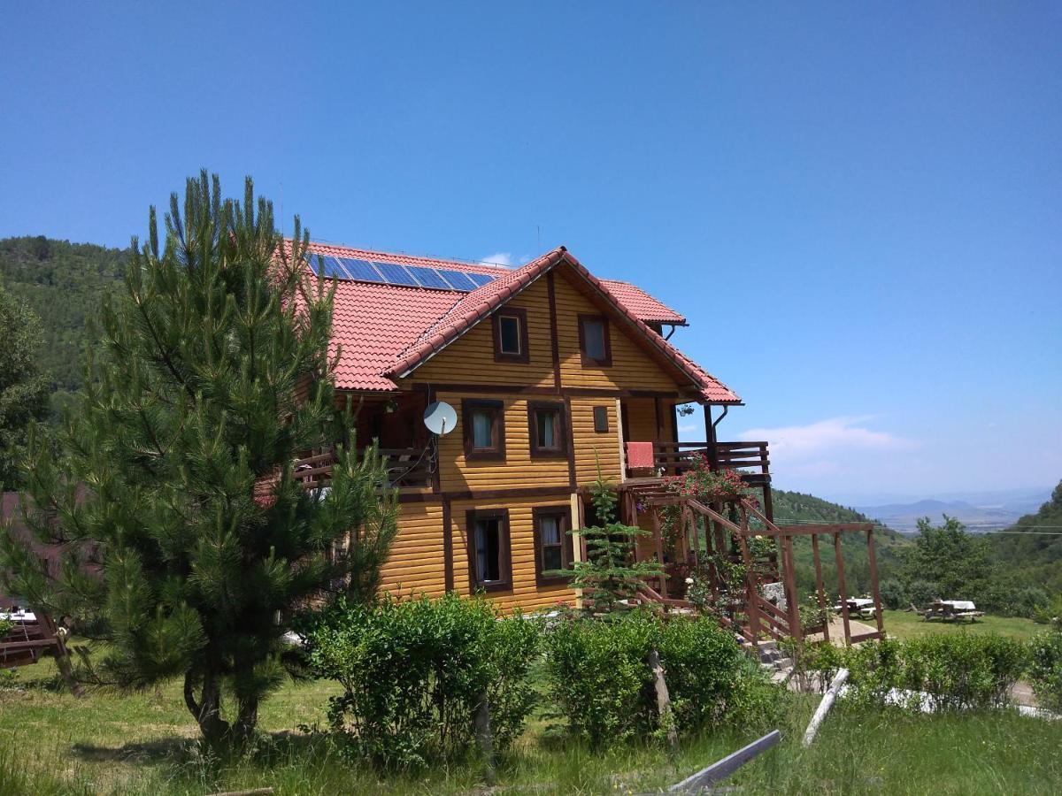 Cabana Soarelui Retezat Nucsoara  Exteriér fotografie