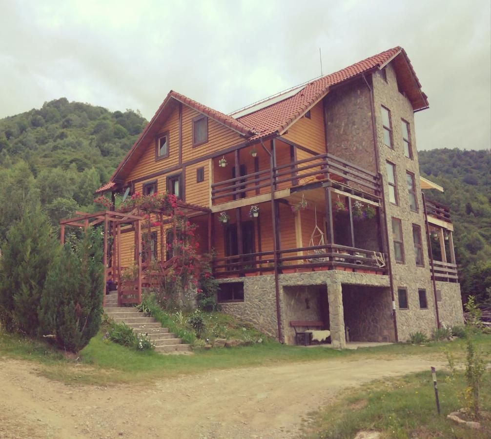 Cabana Soarelui Retezat Nucsoara  Exteriér fotografie