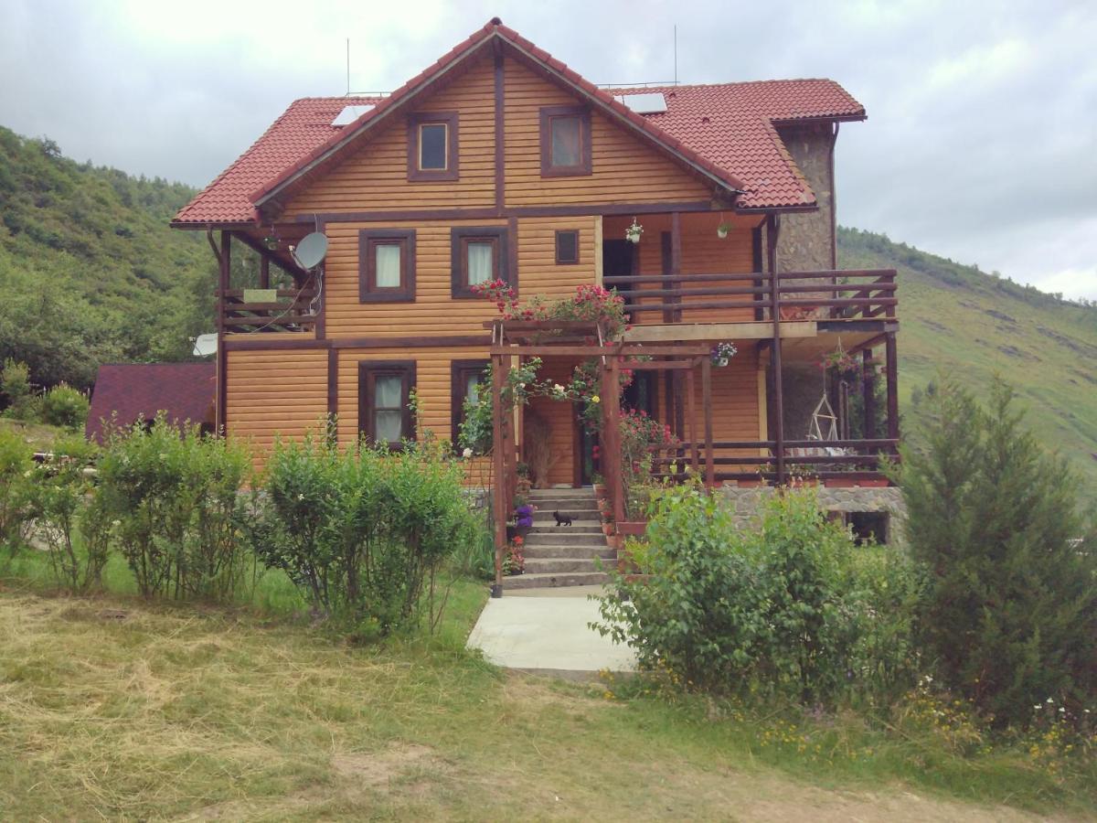 Cabana Soarelui Retezat Nucsoara  Exteriér fotografie