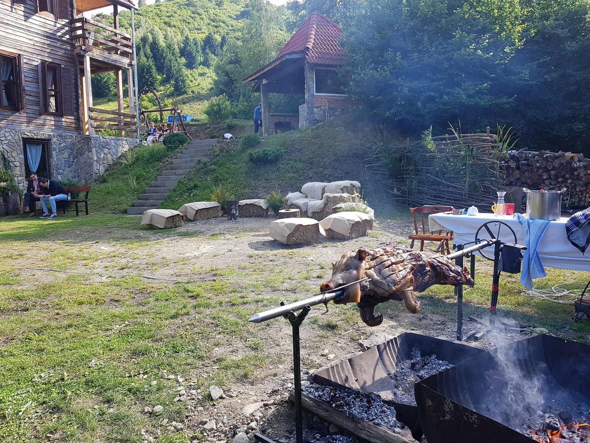 Cabana Soarelui Retezat Nucsoara  Exteriér fotografie
